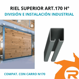 Riel superior Art. 170 H°